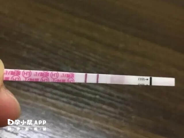 金秀儿排卵试纸的正确用法