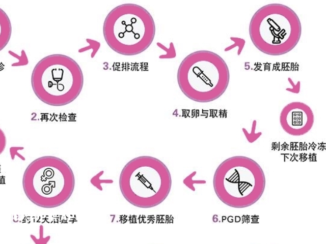 上海仁济医院三代试管流程图