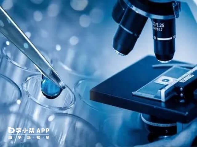 做一次染色体微阵列分析后2-3周的时间就能出结果了