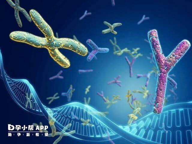 科学改善精子dna完整性差的方法