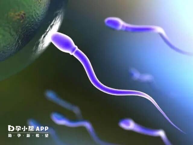 去国外精子库买一罐精子大概需要2-3万元左右