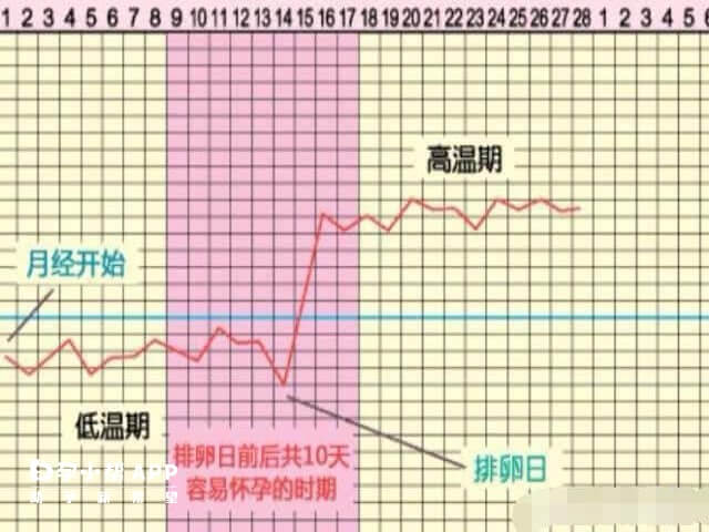 受精卵着床后体温会出现略有升高的表现