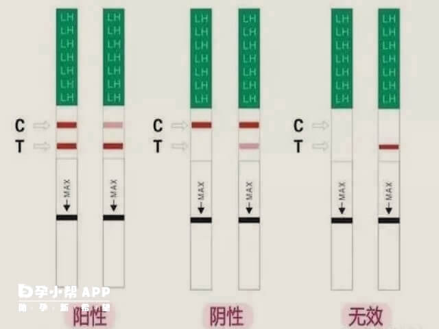 金秀儿半定量排卵试纸看结果的方法就是看ct是否有红杠