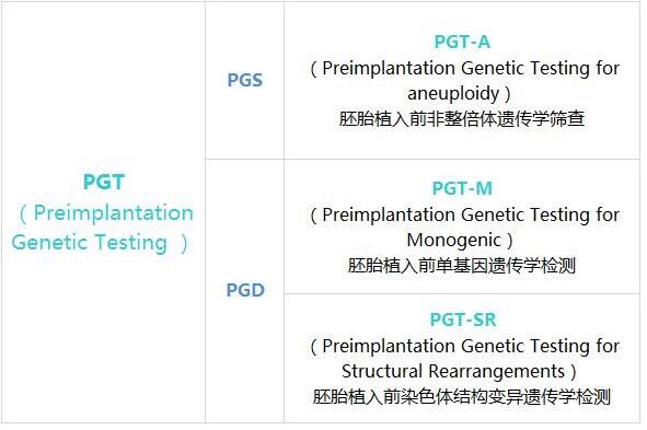 试管pgd和pgs有什么区别