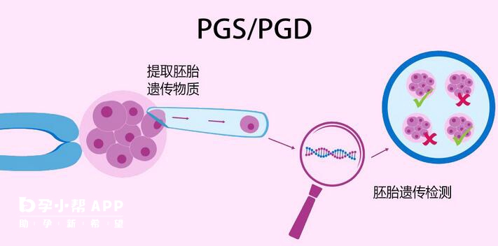 pgd和pgs技术