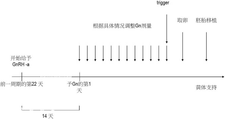 长方案流程图