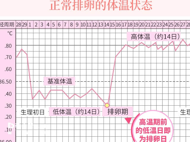 体温监测每天数据需要记录