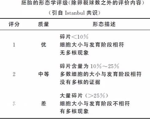 胚胎的形态学评级