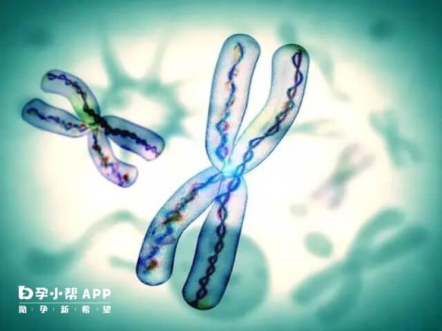 国内试管实验室能做xy精子分离术的医院