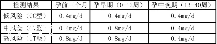 叶酸补充建议剂量