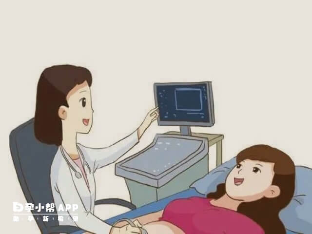 彩超正确看子宫前后位的方法