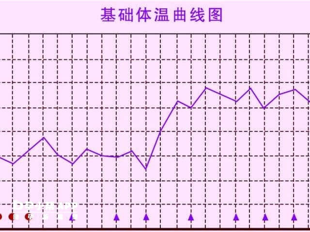 基础体温监测排卵