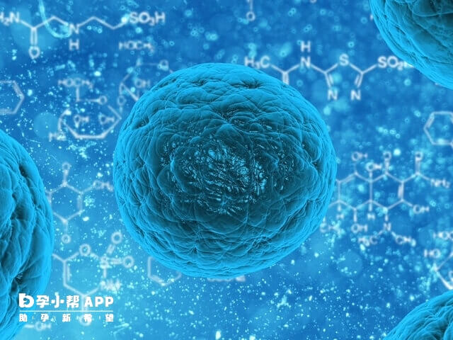 41岁做试管只有一个卵泡