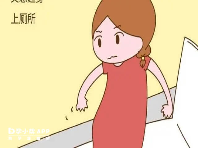 孕初期夜尿多与生男生女无关