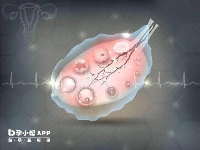 高龄基础卵泡少可以做三代试管