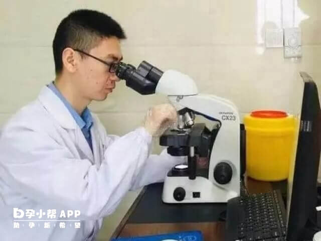 查有没有y精子的操作步骤