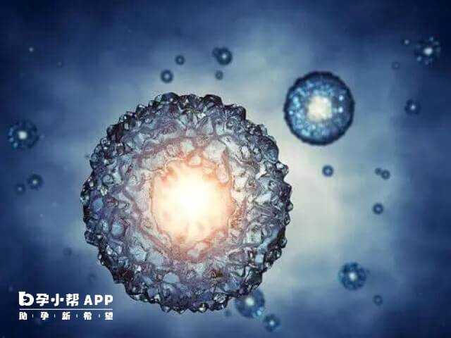 单身去美国冻卵一年要2-2.5万美金