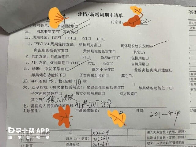 试管建档后就正式进入试管周期