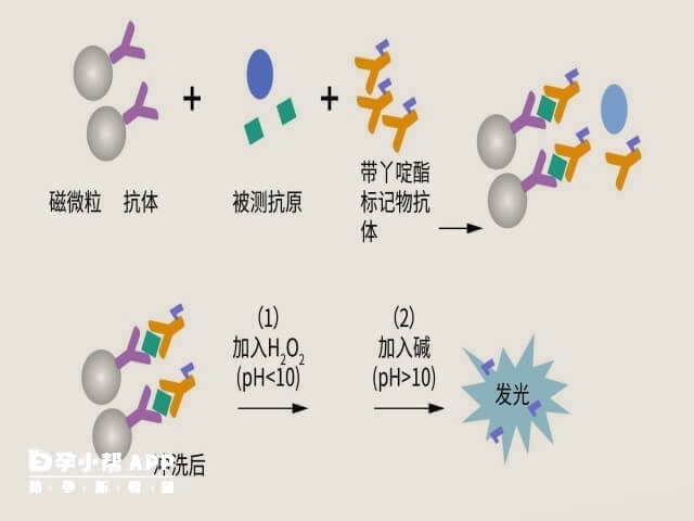 化学发光法比酶免法准确率更高