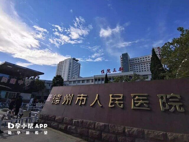 德州市人民医院生殖科技术好