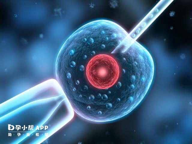 试管取卵移植一次的费用需1万元左右