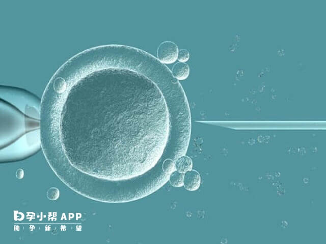 囊胚移植失败后间隔2-3个月可再次移植