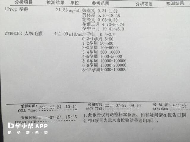 试管成功后血没翻倍可能是胚胎停止发育