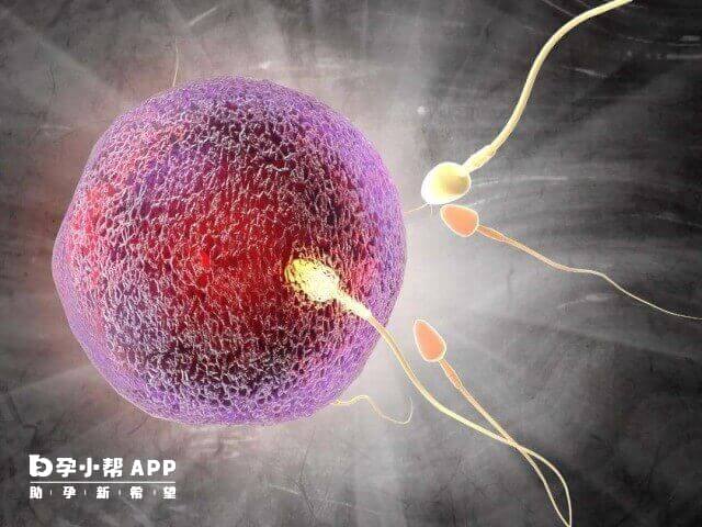 卵泡不到18mm做试管不一定能配对成功