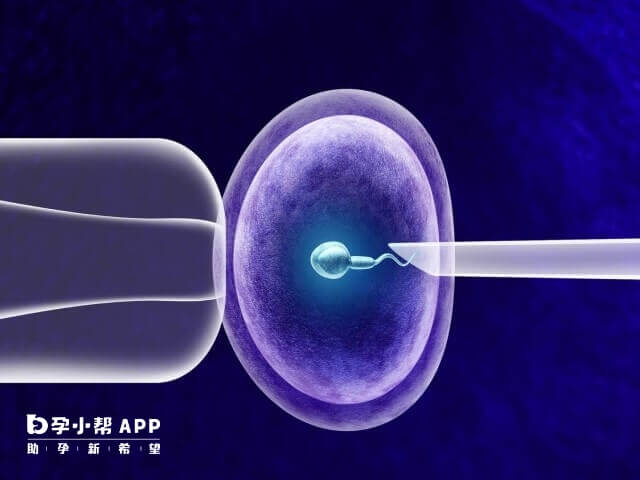 人授时卵巢内18-25mm卵泡要有3个