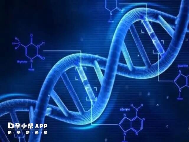 胚胎性染色体缺失由生物因素导致