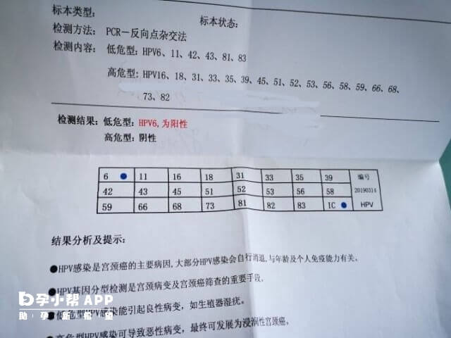 女性HPV11阳性不可做试管