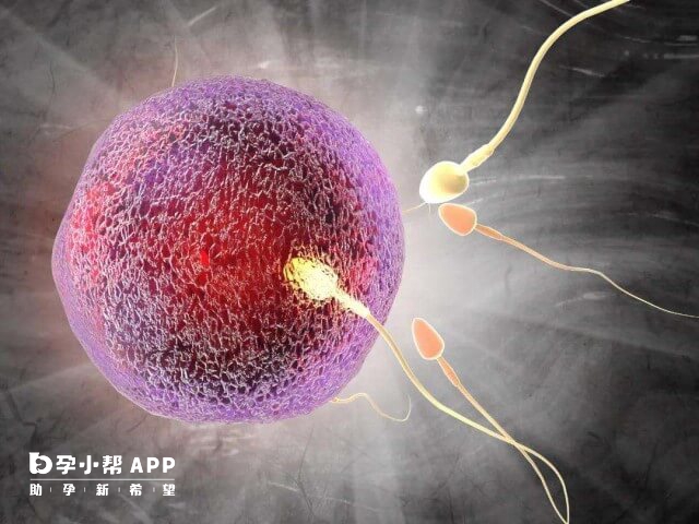 精子头部畸形率不低于98%可做试管