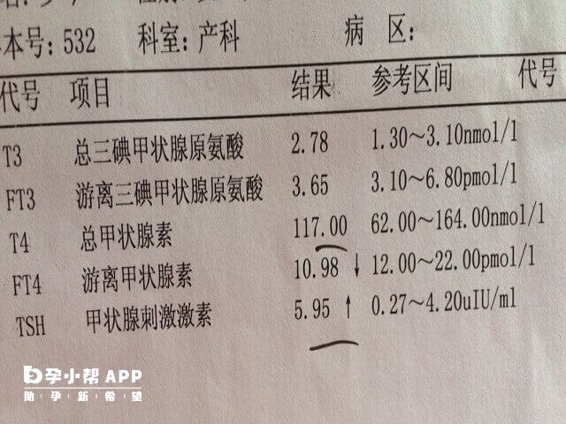 甲状腺异常会影响试管胚胎移植