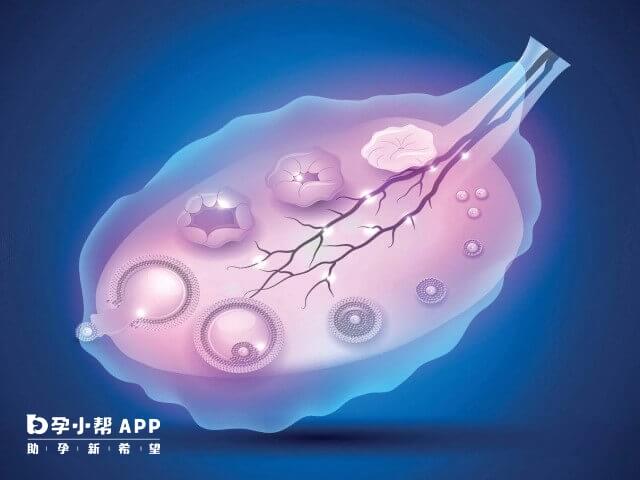 黄体功能不足做移植有影响