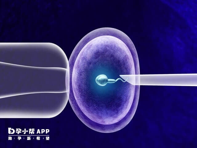 重度弱精症并不只能做试管二代