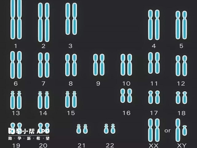 人体细胞中有23对染色体