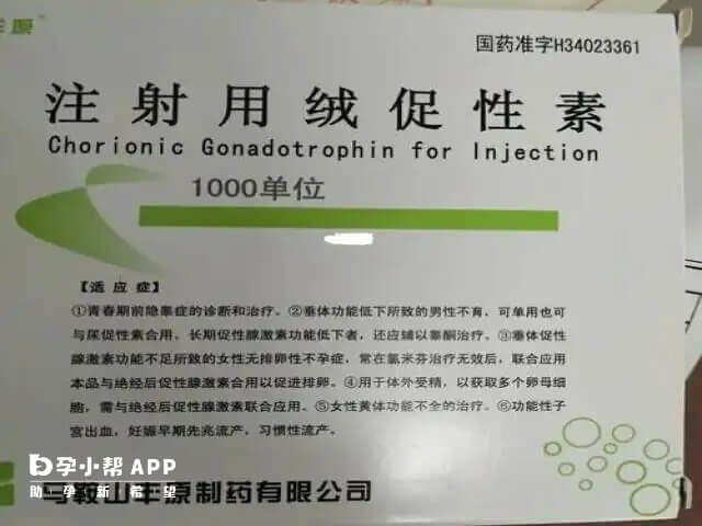 10000绒促卵泡不破能补打