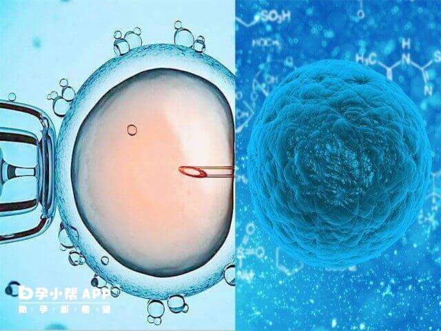 卵巢早衰试管一般取8-10个卵后做移植好