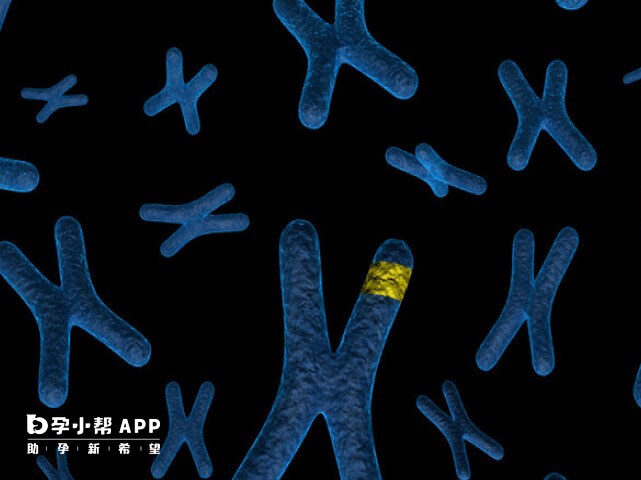 8号和23号染色体异常都严重