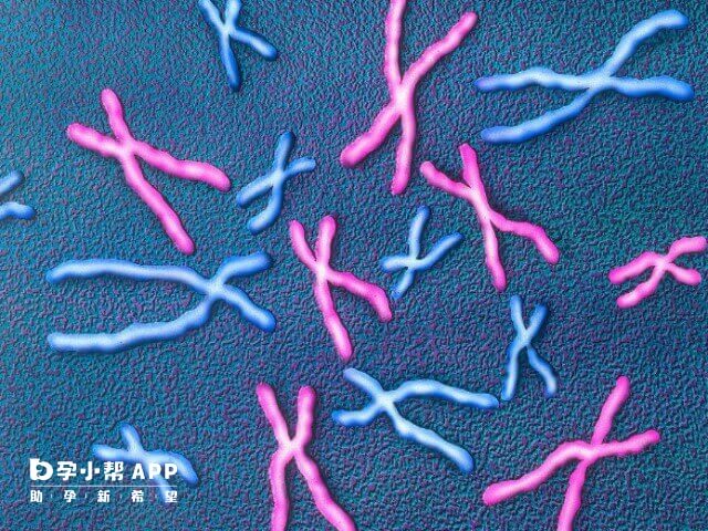筛查通过的优囊胚还会染色体缺失
