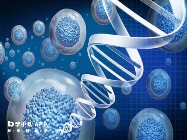 人体7号染色体数目增多很严重