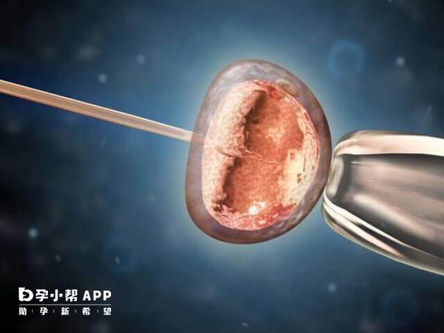 刚刚绝经就移植囊胚还能着床成功