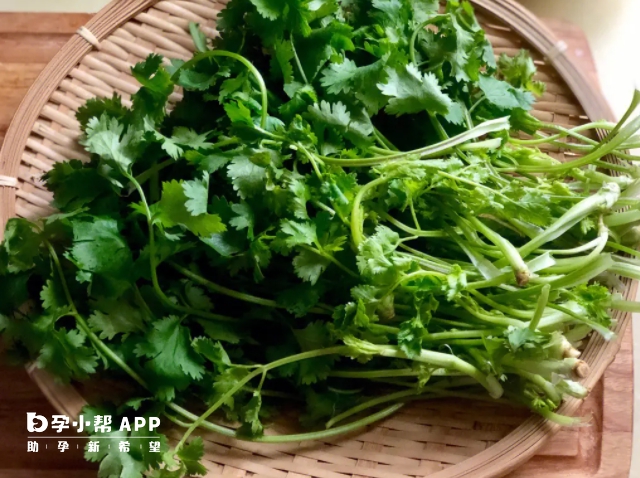 胚胎移植怀孕后不能大量吃香菜