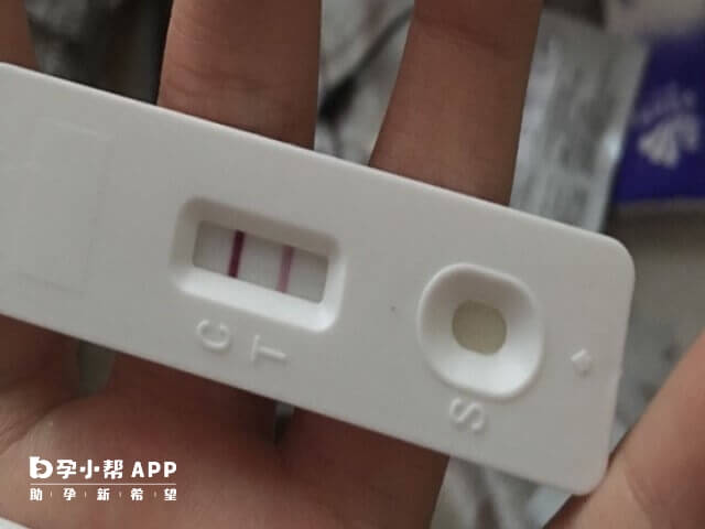 移植后试纸颜色变淡与检测时间不一有关