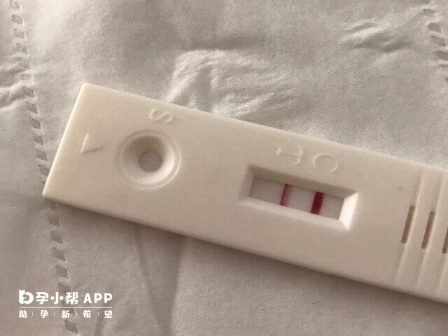 移植失败后又怀孕可能是检测失误