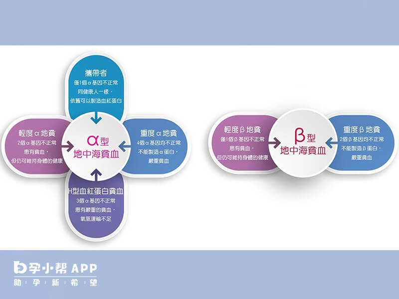 地贫贫血的类型